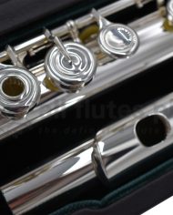 Altus A13 Flute-J
