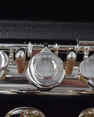 Sankyo AF301S Alto Flute with Straight Head Joint-7