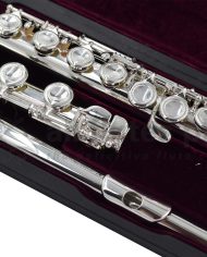 Trevor James 10XCDE Ex Rental Flute AFP10008-2