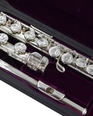 Trevor James 10XCDE Ex Rental Flute AFP10009-2